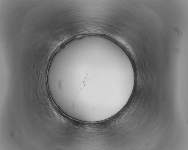 X0000111920481200908101224