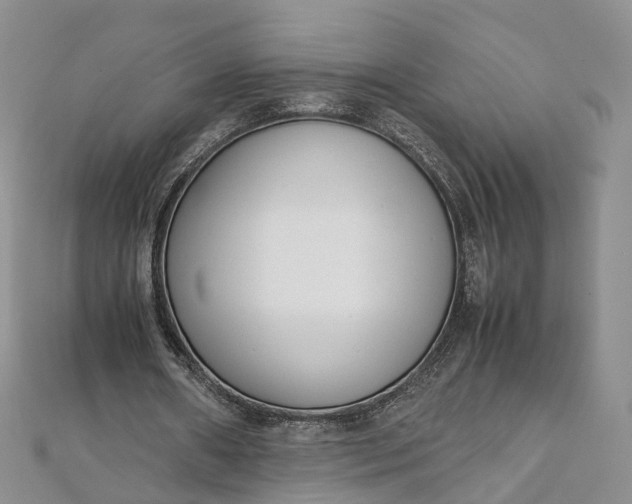 X0000111920482200908101224