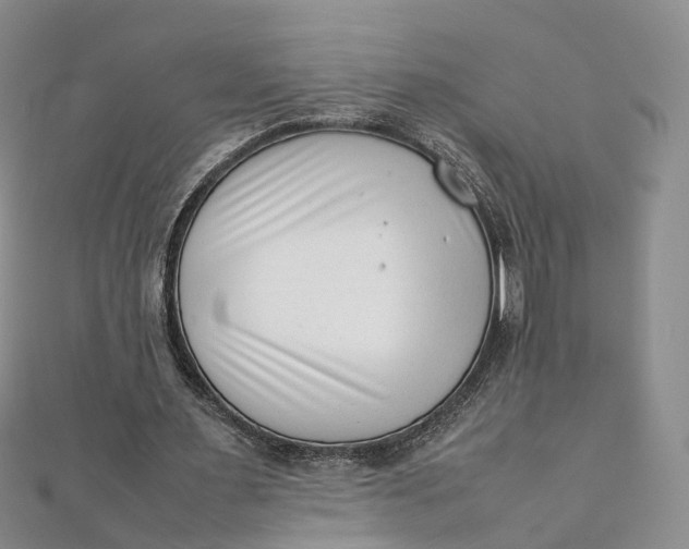 X0000111920483200908101224