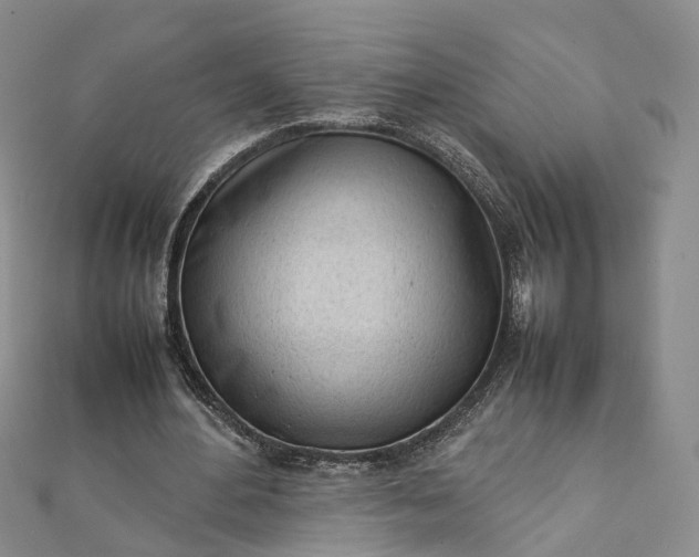 X0000111920484200908101224