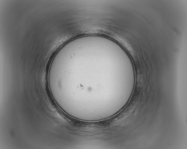 X0000111920485200908101224