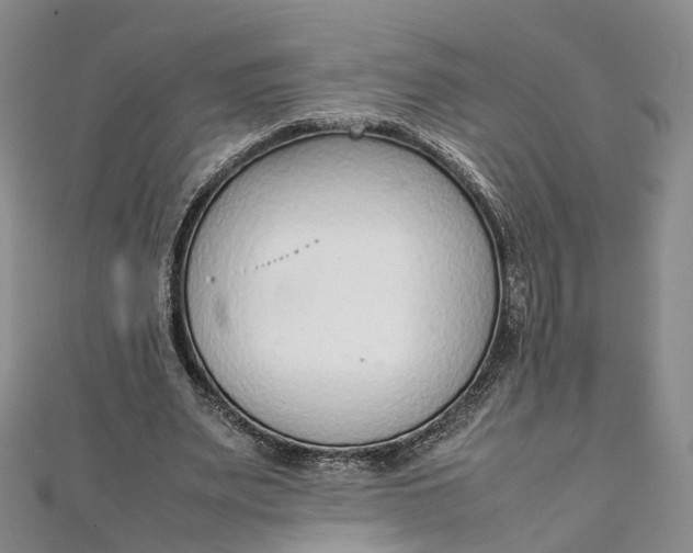 X0000111920487200908101224