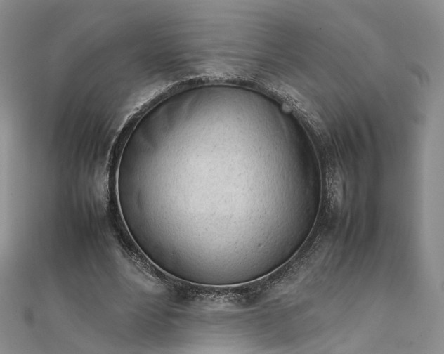 X0000111920488200908101224