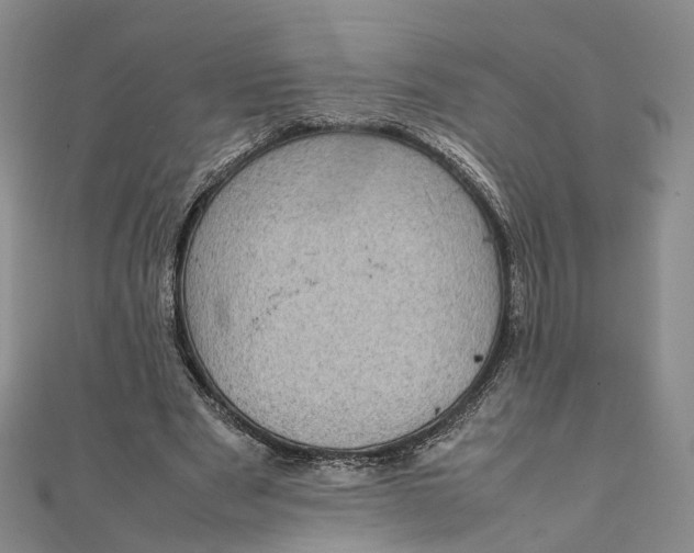 X0000111920489200908101224