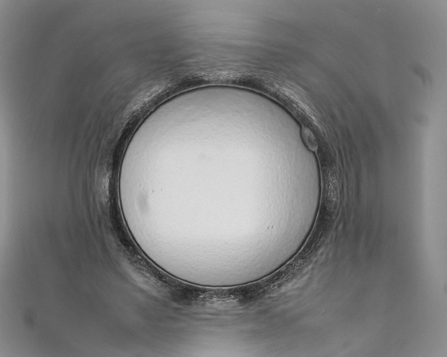 X0000111920491200908101224