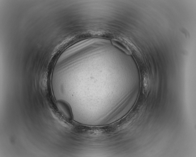 X0000111920492200908101224