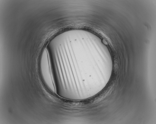 X0000111920493200908101224