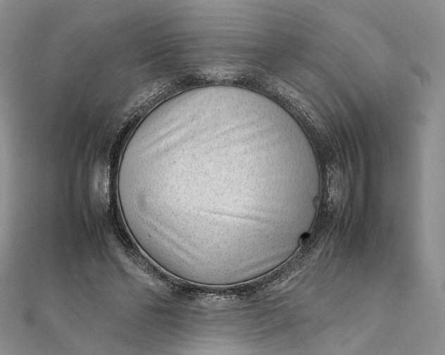 X0000111920494200908101224