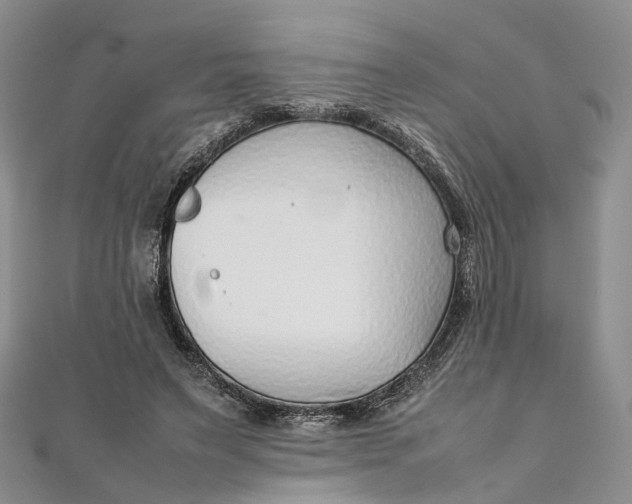 X0000111920495200908101224