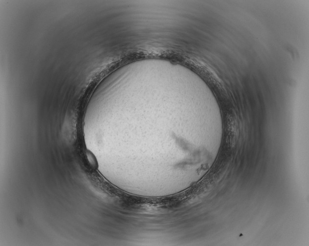 X0000111920496200908101224