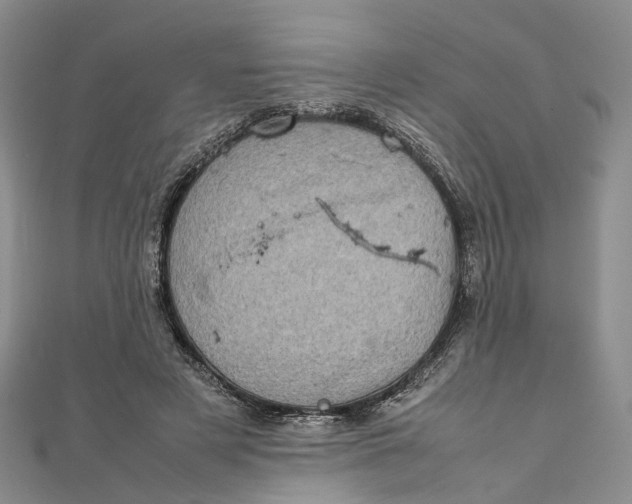 X0000111920497200908101224