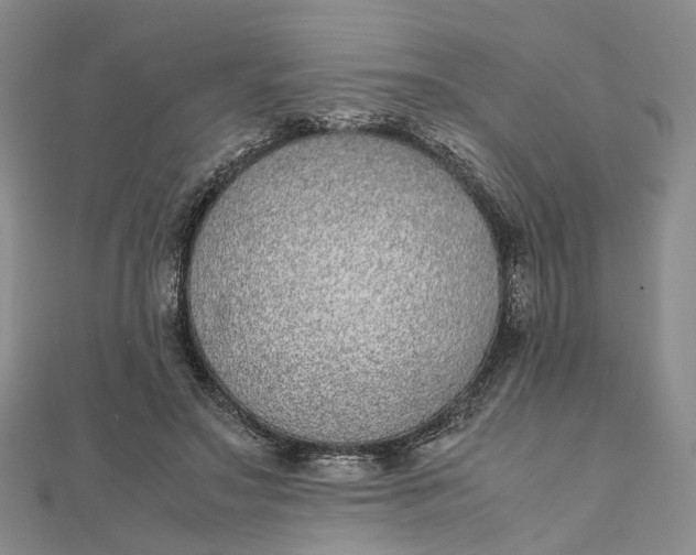 X0000111920499200908101224