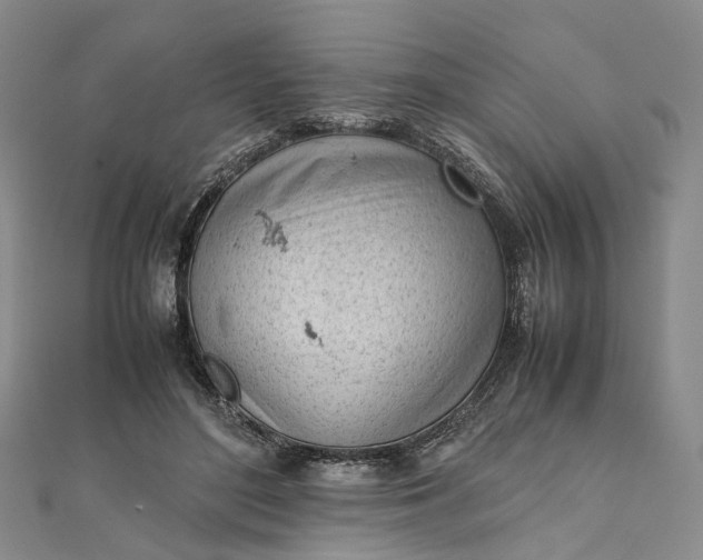 X0000111920500200908101224