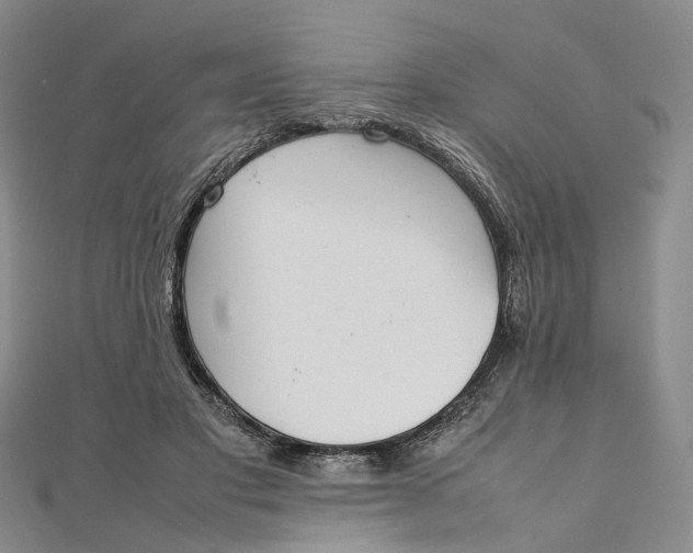 X0000111920501200908101224