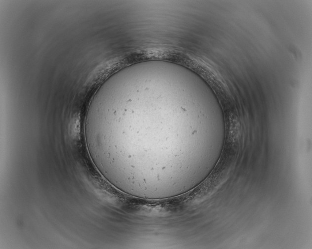 X0000111920502200908101224