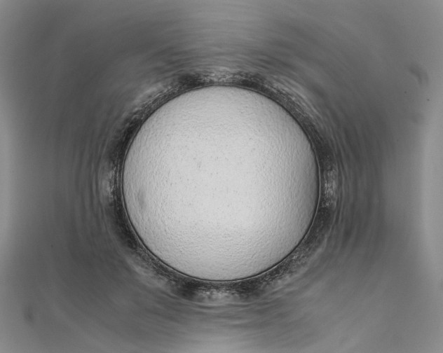 X0000111920503200908101224