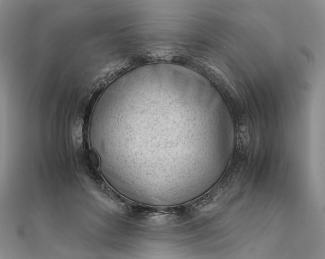 X0000111920504200908101224