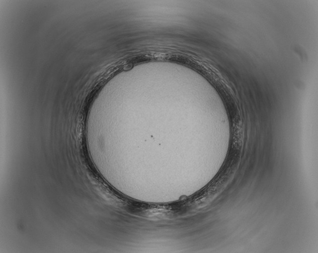 X0000111920505200908101224