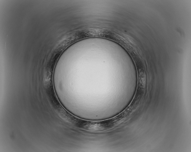 X0000111920507200908101224