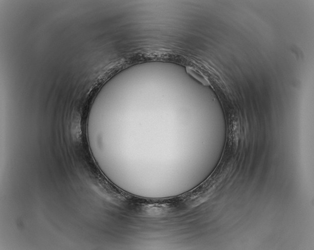 X0000111920508200908101224