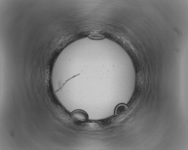 X0000111920509200908101224