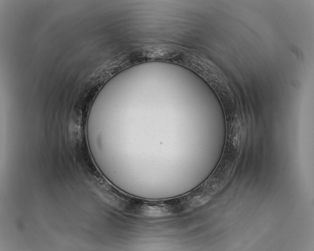 X0000111920510200908101224