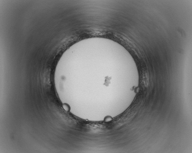 X0000111920512200908101224