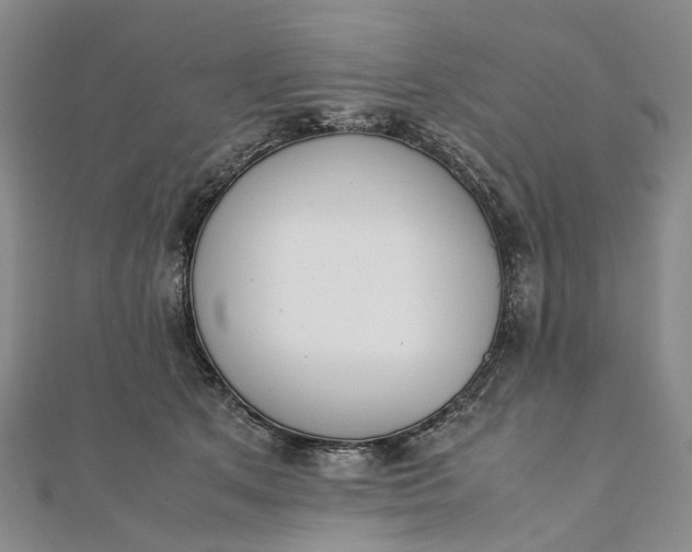 X0000111920513200908101224