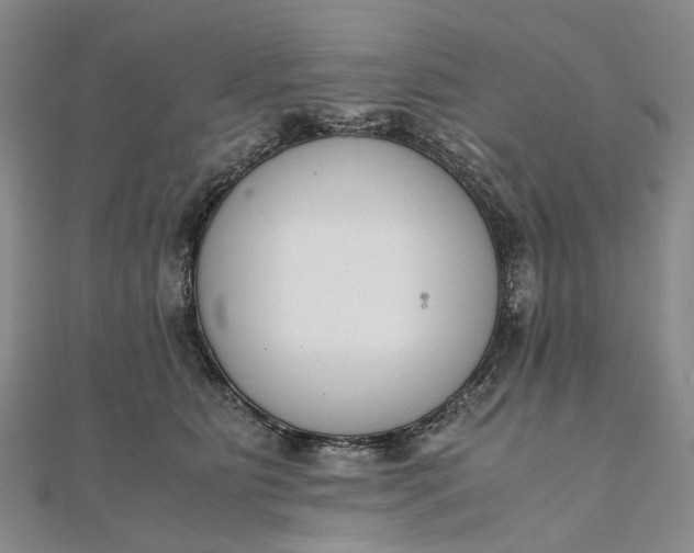 X0000111920515200908101224