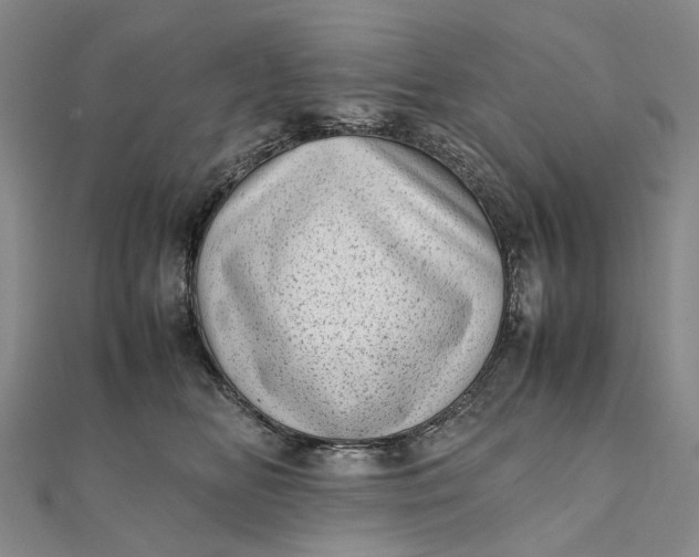 X0000111920518200908101224