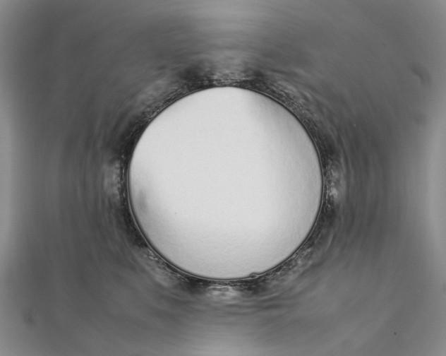 X0000111920519200908101224