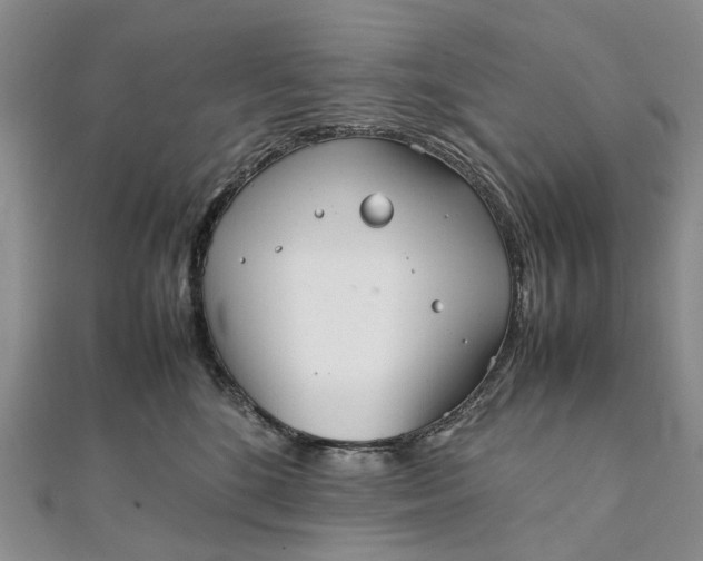 X0000111920520200908101224