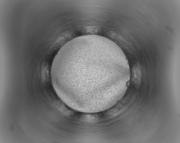 X0000111920522200908101224