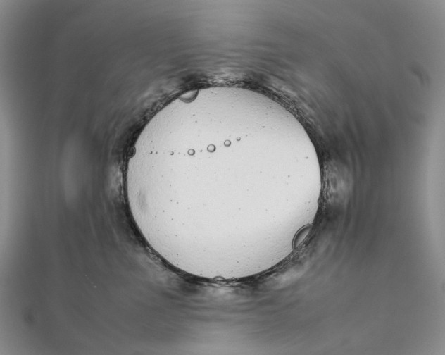 X0000111920523200908101224