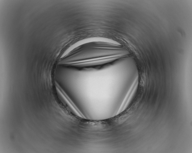 X0000111920524200908101224