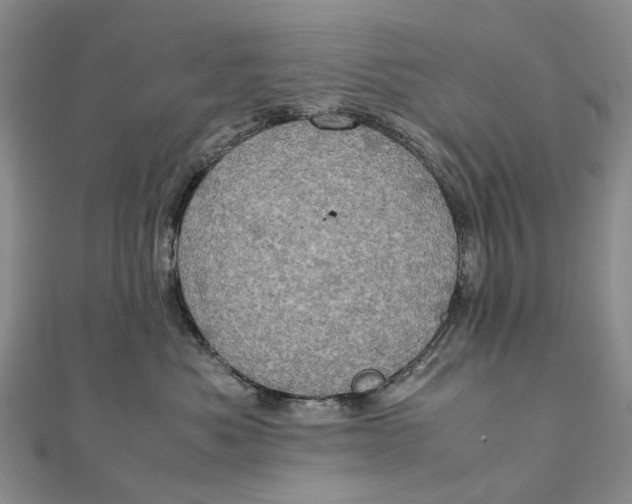 X0000111920525200908101224