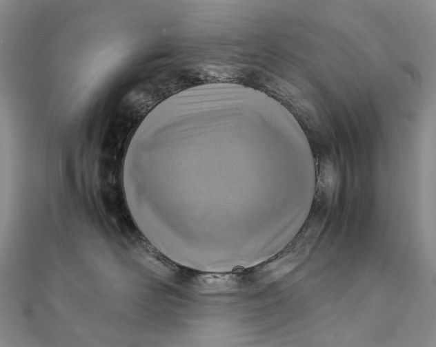 X0000111920526200908101224