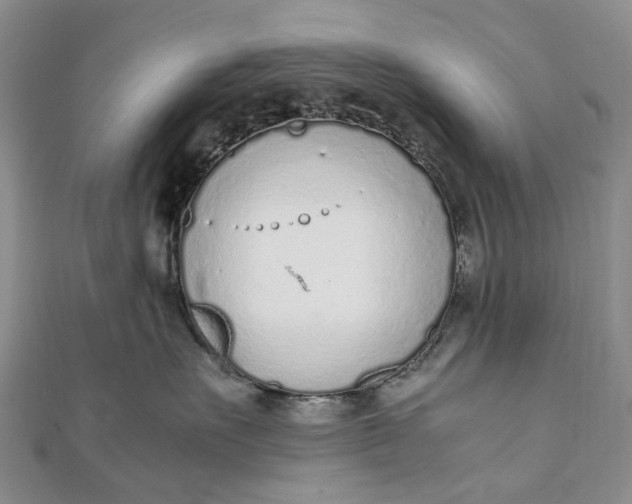 X0000111920527200908101224