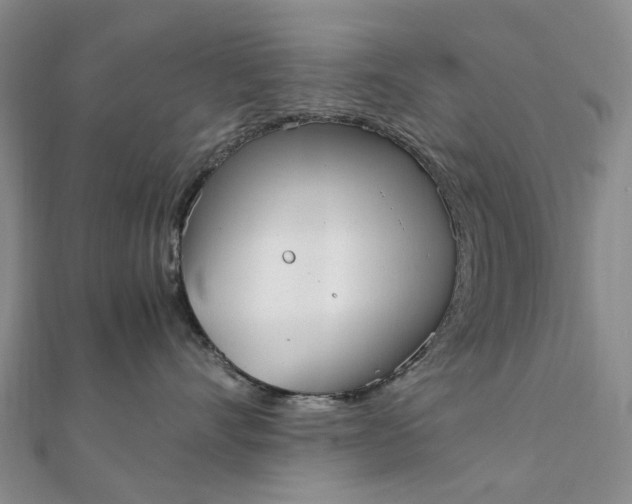 X0000111920528200908101224