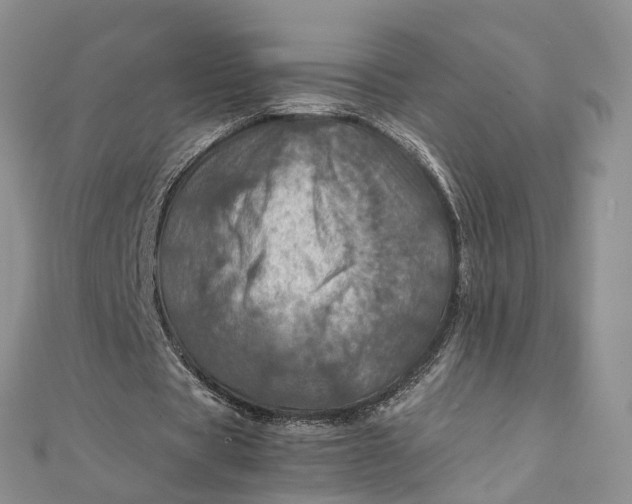 X0000111920529200908101223