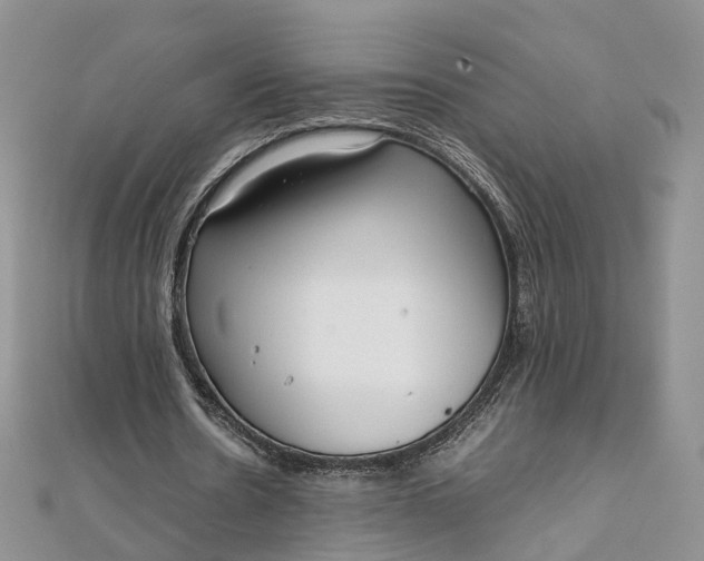 X0000111920530200908101223