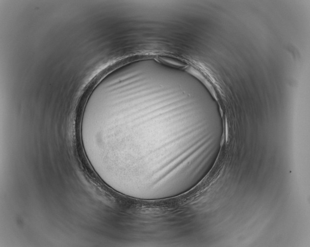 X0000111920531200908101223