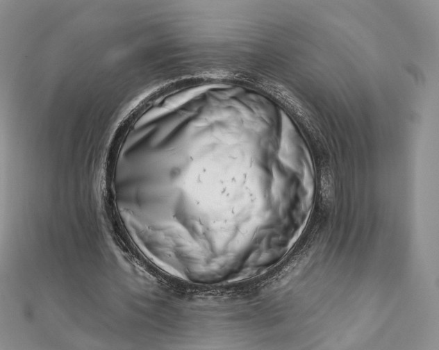 X0000111920532200908101223