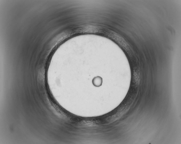 X0000111920534200908101223