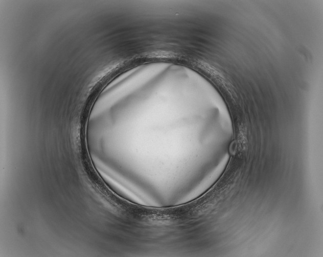 X0000111920535200908101223