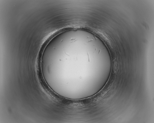 X0000111920536200908101223