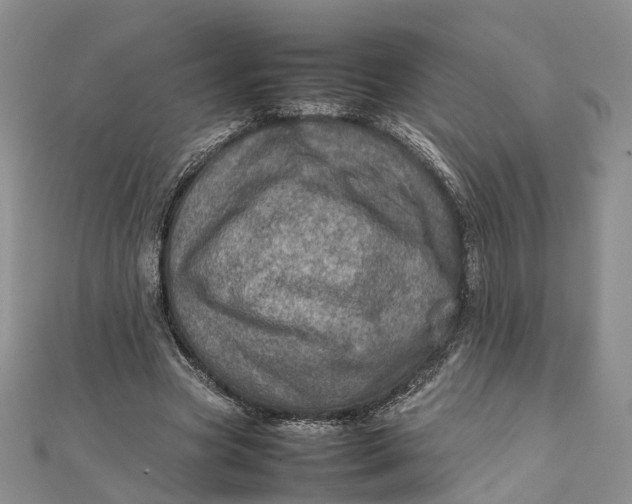 X0000111920537200908101223