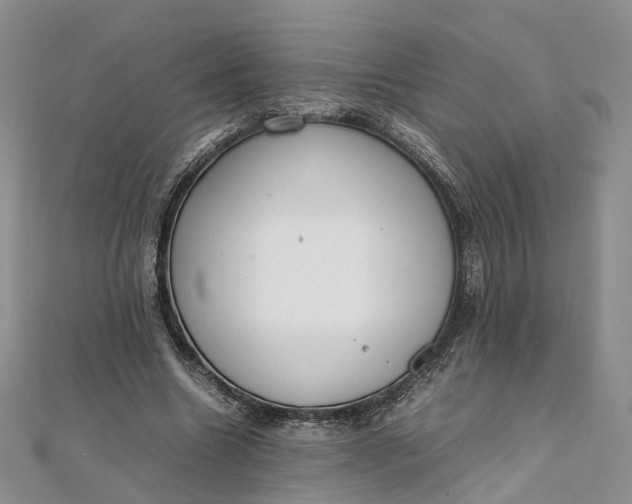 X0000111920538200908101223