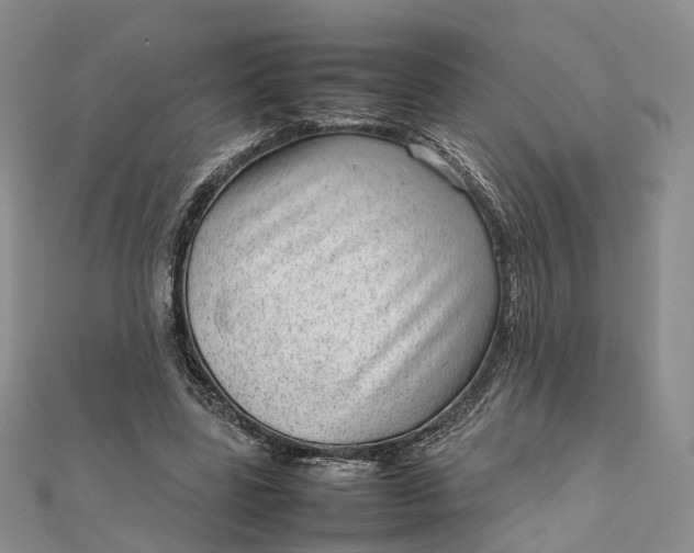 X0000111920539200908101223