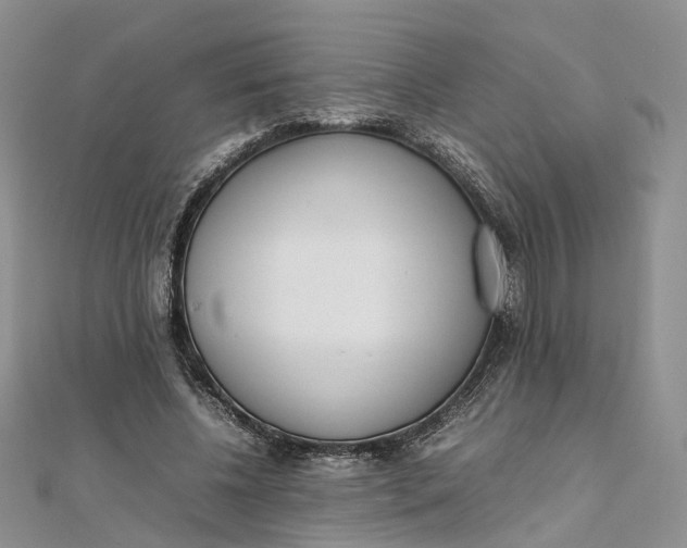 X0000111920540200908101223